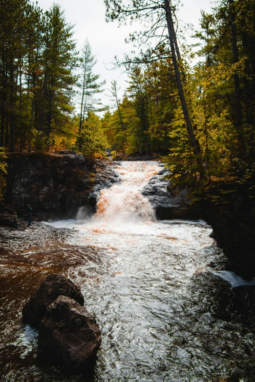 a river running through a forest filled with trees, water falls, boreal forest, 2019 trending photo, magma cascades