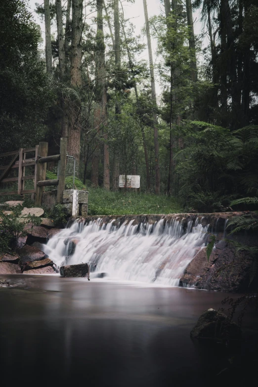 a small waterfall in the middle of a forest, water running down the walls, forest clearing, low lighting, sydney park