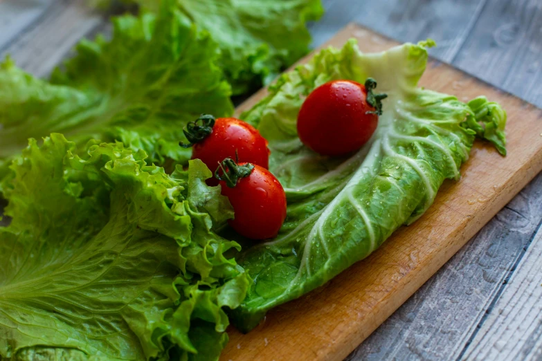 a wooden cutting board topped with lettuce and tomatoes, avatar image, cottagecore, small, uncrop