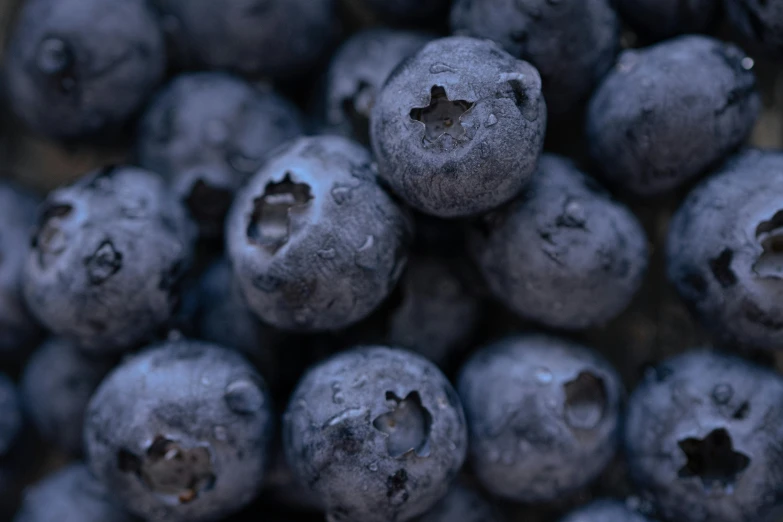 a close up of a bunch of blueberries, pexels, avatar image, background image, subtle detailing, high-resolution photo