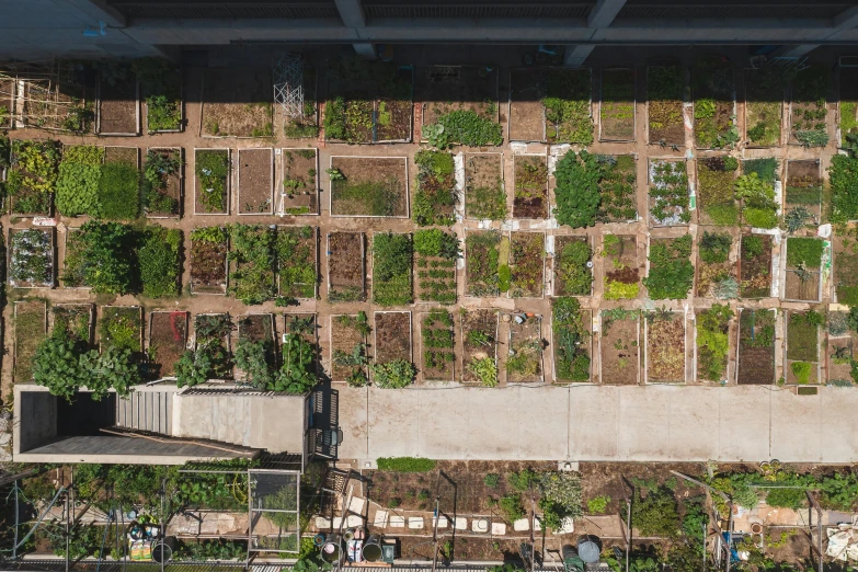 a bird's eye view of a vegetable garden, a digital rendering, unsplash, in sao paulo, dwell, schools, brown