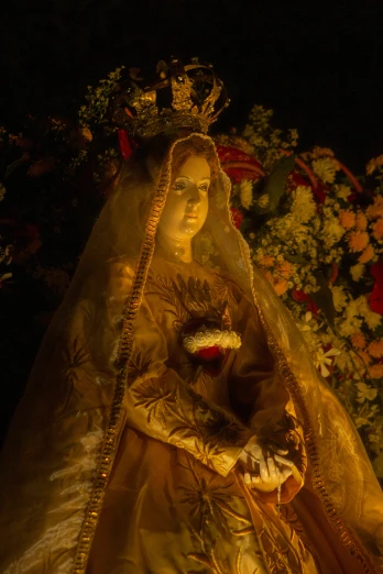 a statue of a woman holding a cat, a statue, inspired by Francisco de Burgos Mantilla, baroque, with yellow flowers around it, holy lights, wearing translucent veils, ( ( theatrical ) )