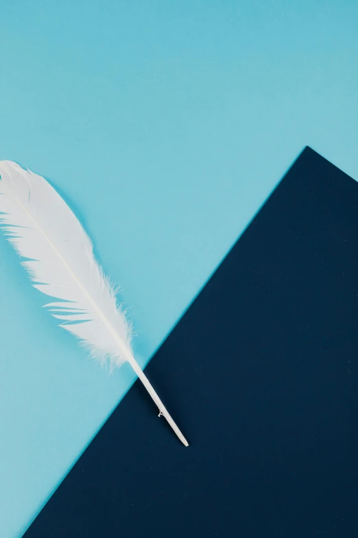 a white feather sitting on top of a black book, inspired by Robert Mapplethorpe, trending on unsplash, blue and silver, material design, pen on paper, post graduate