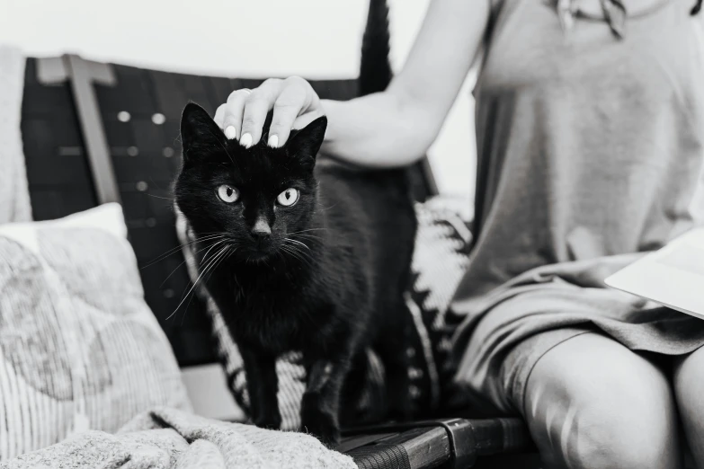 a woman sitting on a couch petting a black cat, a black and white photo, by Emma Andijewska, pexels contest winner, wearing a black shirt, sits on a finger, holding an epée, catarthic