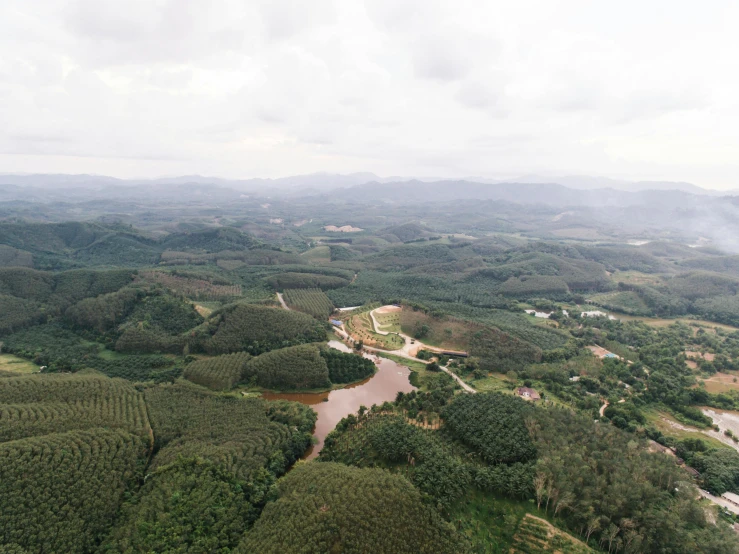 a river running through a lush green valley, an album cover, by Daniel Lieske, unsplash contest winner, hurufiyya, helicopter view, thailand, overcast skies, ultrawide angle cinematic view