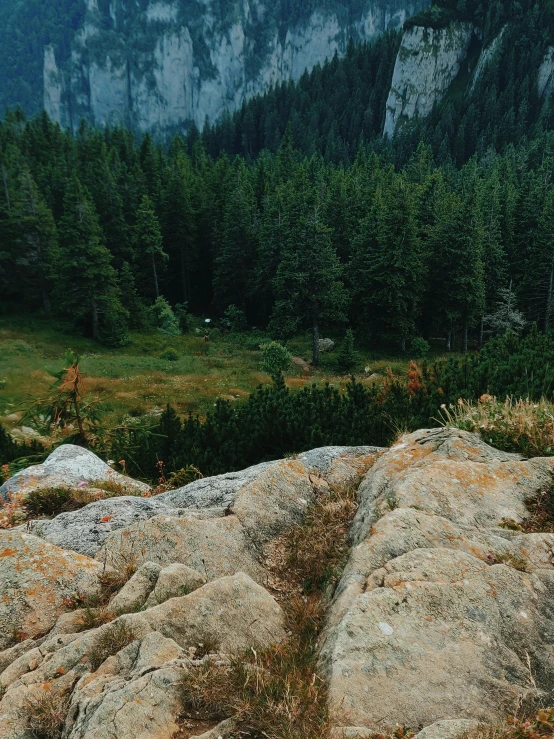 a man sitting on top of a rock next to a forest, evergreen valley, zoomed out to show entire image, lush evergreen forest, rocks)