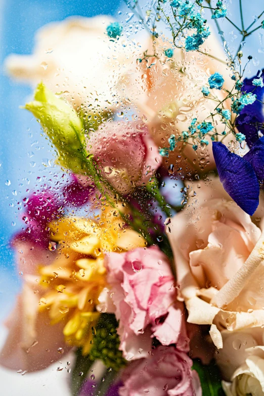 a close up of a bunch of flowers in a vase, inspired by Jeff Koons, romanticism, summer rain, splashes, confetti, dried petals