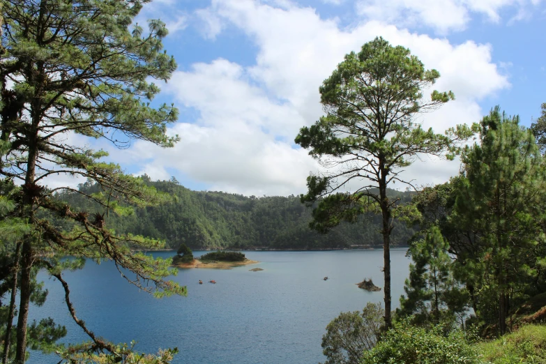 a large body of water surrounded by trees, hurufiyya, azores, abel tasman, arrendajo in avila pinewood, picton blue