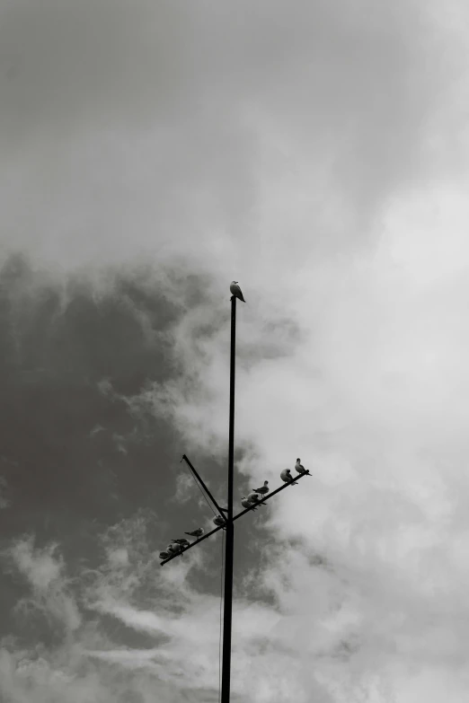 a black and white photo of a weather vane, inspired by André Kertész, postminimalism, with great birds, concert, grey clouds, low fi
