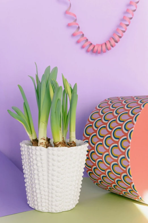 a close up of a potted plant on a table, inspired by Eden Box, pop art, hyacinth, soft white rubber, rainbow accents, patterned