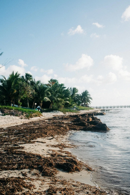 a man riding a surfboard on top of a sandy beach, tropical trees, wood pier and houses, erosion, julia sarda