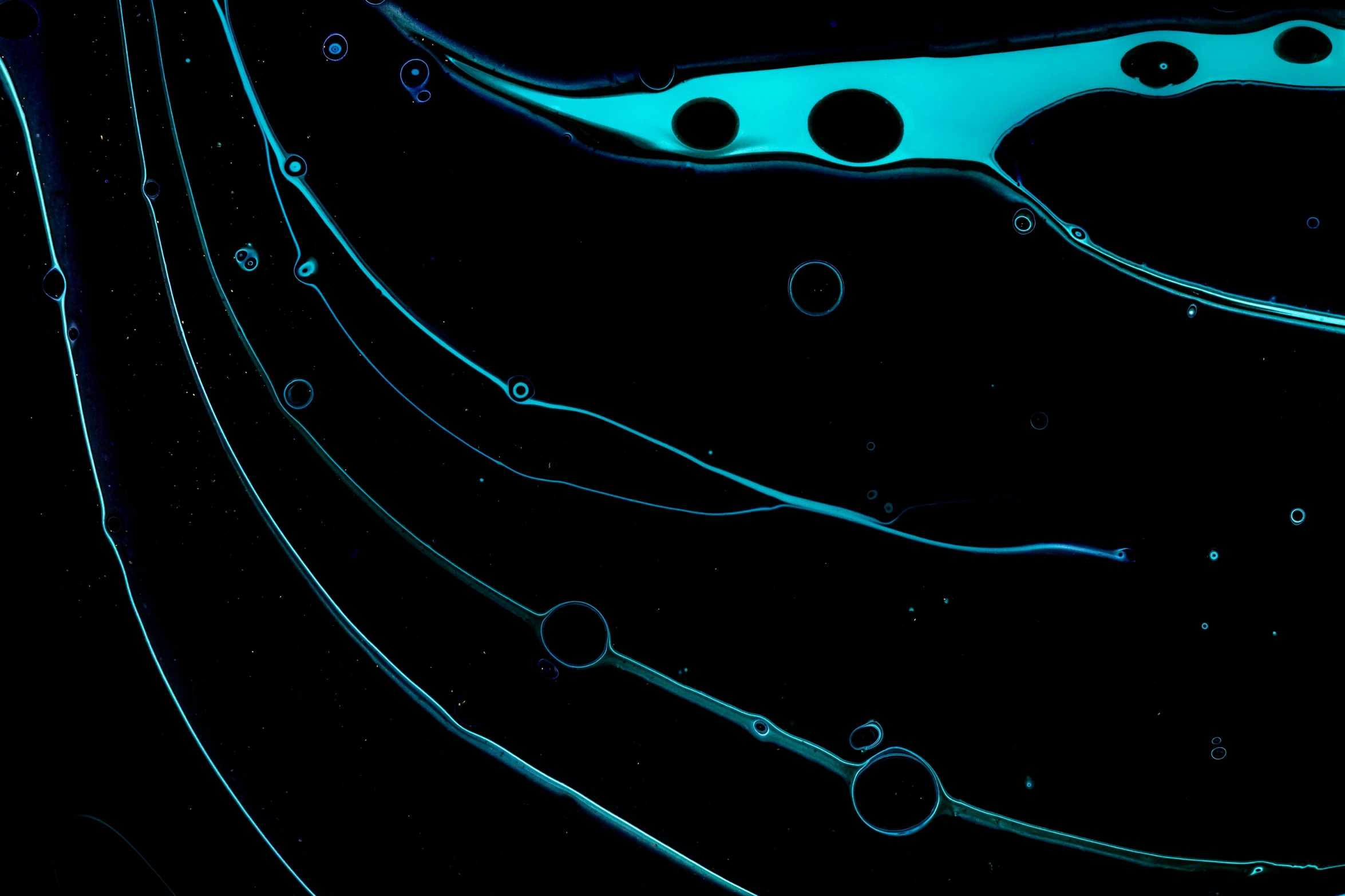 a pair of scissors sitting on top of a table, a microscopic photo, inspired by Lucio Fontana, generative art, glowing blue veins, black fluid simulation, shot with sony alpha, bubbles