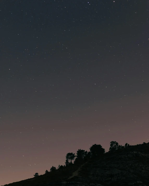 a group of people standing on top of a hill under a night sky, trending on unsplash, aestheticism, muted and dull colors, profile picture, ansel ], hill with trees