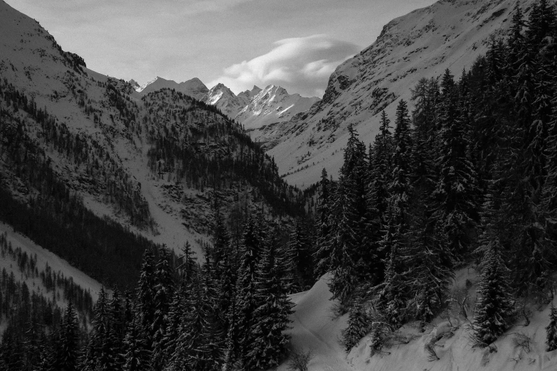 a man riding skis down a snow covered slope, a black and white photo, by Karl Walser, pexels contest winner, lush forest in valley below, bakelite rocky mountains, light and dark, valley