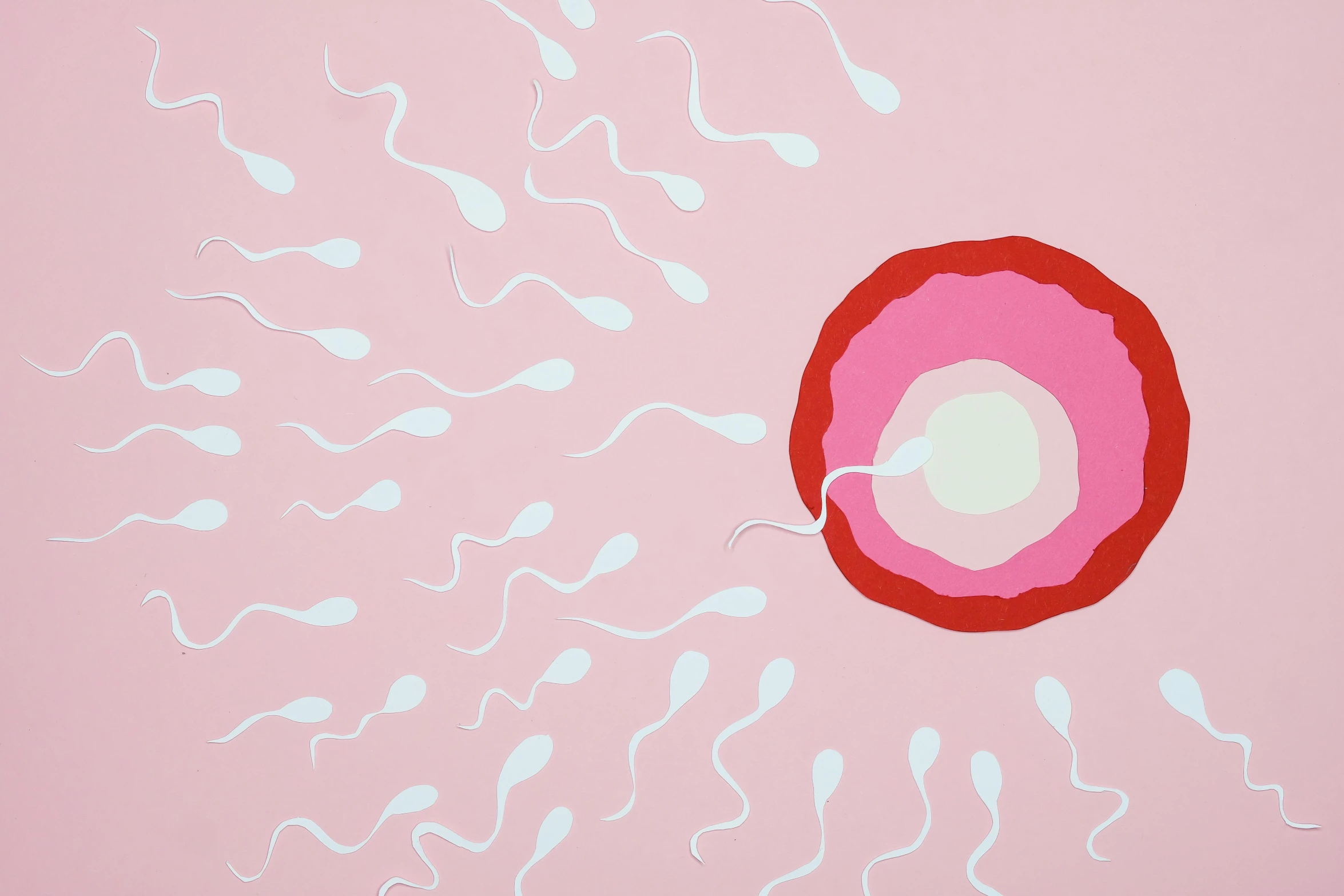 a close up of a painting of a fertitor, by Ellen Gallagher, conceptual art, contracept, (pink colors), courtesy of moma, spores floating in the air