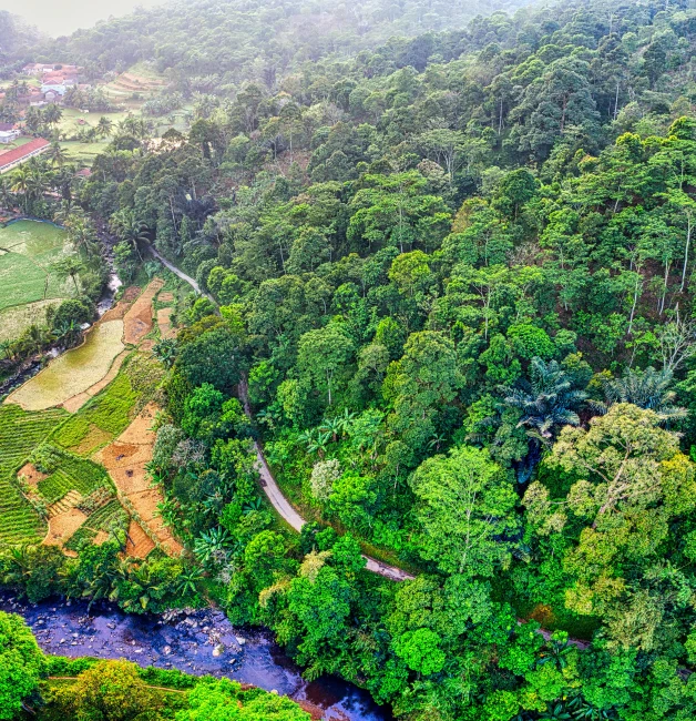 a river running through a lush green forest, by Daniel Lieske, pexels contest winner, sumatraism, inspiring birds eye vista view, hilly road, panorama view, fan favorite