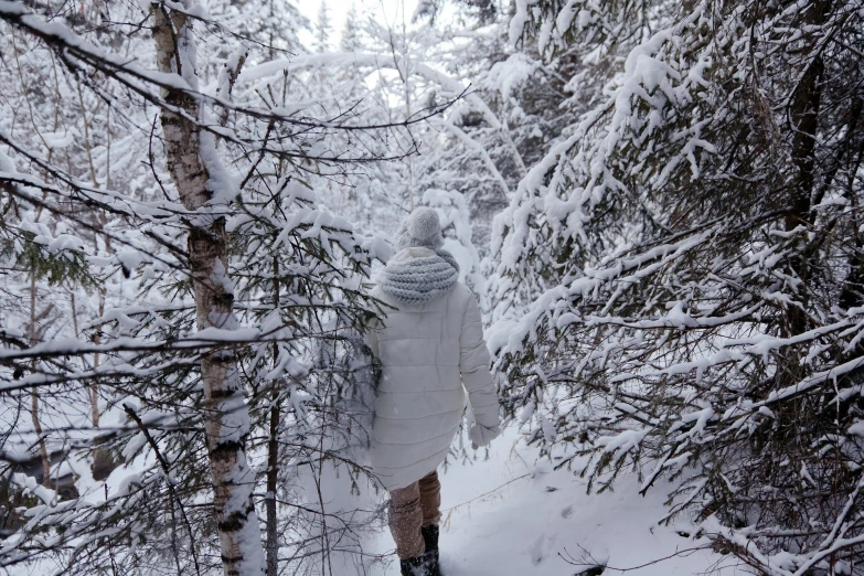 a person riding skis down a snow covered slope, by Mardi Barrie, pexels contest winner, walking through a lush forest, silver metallic moncler jacket, quebec, (3 are winter