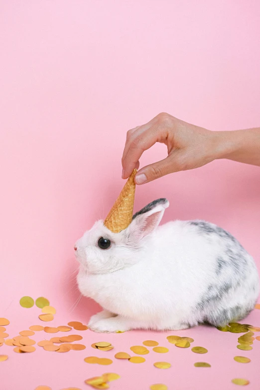 a person holding an ice cream cone to a rabbit, candy treatments, promo image, pearlescent skin, pets