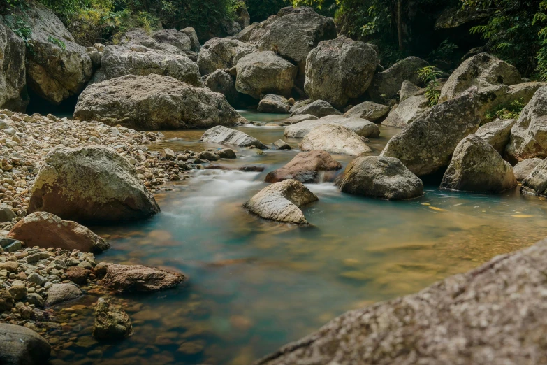 a stream running through a lush green forest filled with rocks, pexels contest winner, thailand, peacefully drinking river water, abel tasman, dry river bed