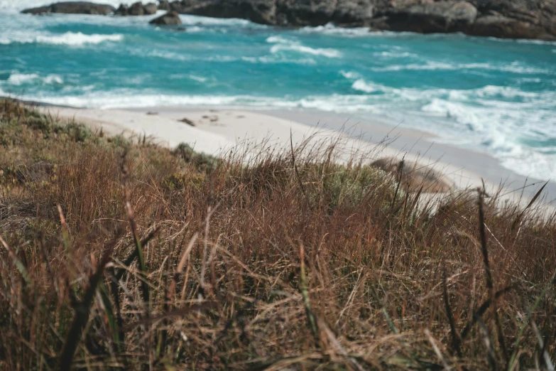 a man standing on top of a lush green hillside next to the ocean, an album cover, by Ryan Pancoast, pexels contest winner, rocky grass field, white sand beach, thumbnail, brown