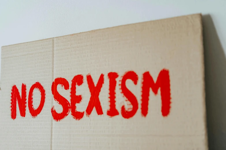 a piece of cardboard with the word no sexism painted on it, a poster, trending on pexels, excessivism, red skin, homestuck, eero aarnio, panoramic shot