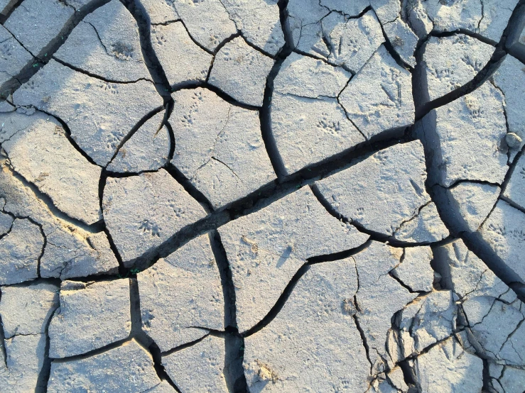 a close up of a crack in the ground, by Anna Haifisch, on a hot australian day, background image, climate change, 1 6 x 1 6