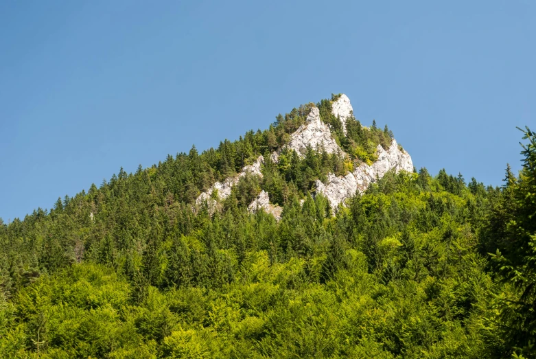 a mountain with lots of trees on top of it, csók istván, clear blue sky, thumbnail, high quality image