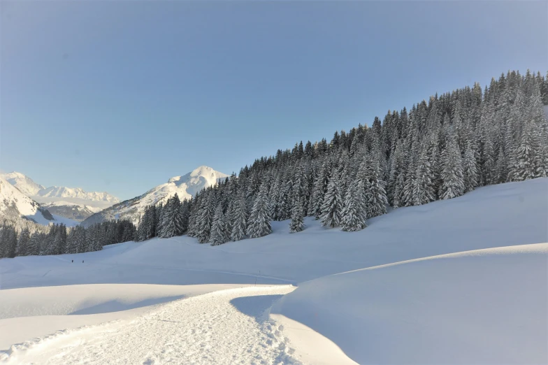 a man riding skis down a snow covered slope, by Karl Gerstner, pexels contest winner, les nabis, spruce trees on the sides, winter landscape outside, footsteps in the snow, panoramic shot