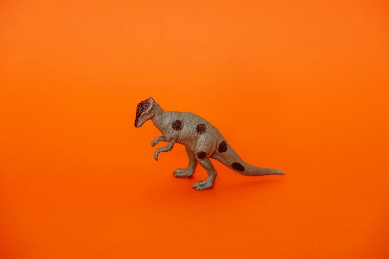 a toy t - rex on an orange background, by Adam Marczyński, pexels contest winner, photorealism, white with chocolate brown spots, 9 0 mm studio photograph tiny, triceratops, plain background