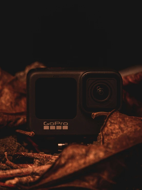 a gopro camera sitting on top of a pile of leaves, inspired by Elsa Bleda, unsplash contest winner, video art, ( apocalyptic ) 8 k, profile picture, indoor shot, dark photo