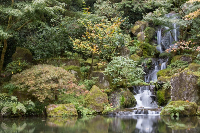 a waterfall in the middle of a lush green forest, inspired by Sesshū Tōyō, unsplash, sōsaku hanga, garden pond scene, panoramic shot, japanese flower arrangements, ryohji hase