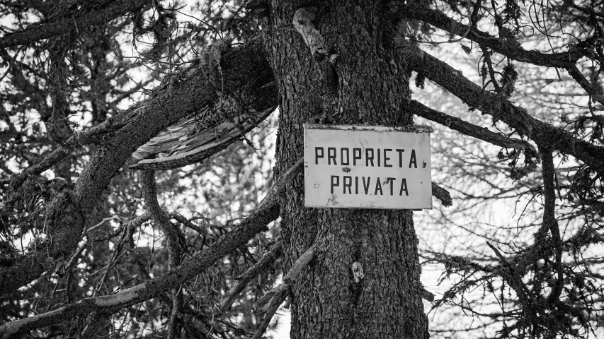 a black and white photo of a sign on a tree, by Gregorio Prestopino, private press, prosperity, piroca, 🎨🖌️, propaganda style