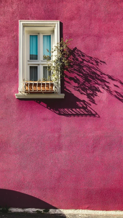 a pink building with a window and a potted plant, by Tobias Stimmer, unsplash contest winner, naples, perfect shadow, colorful”, fuchsia