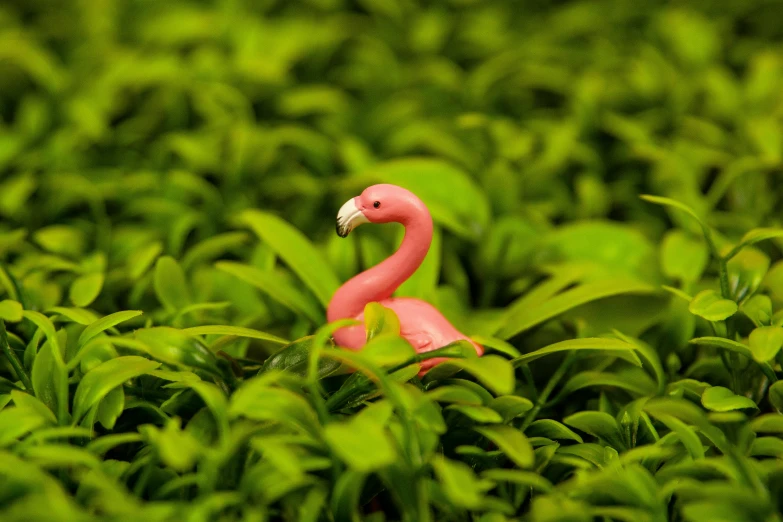 a pink flamingo sitting on top of a lush green field, a tilt shift photo, by Elsa Bleda, photorealism, miniature action figure, vibrant.-h 704, plant photography, birdeye