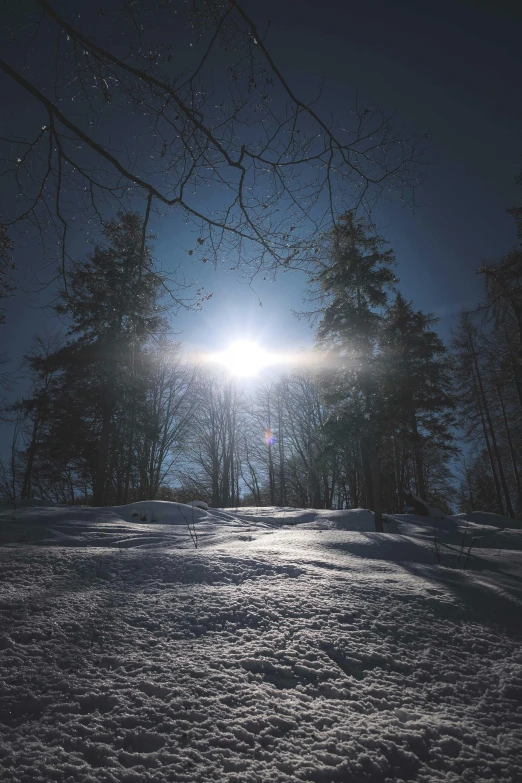 a person riding a snowboard down a snow covered slope, an album cover, unsplash contest winner, romanticism, moonlight through trees, paul barson, sun glare, night photo