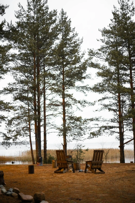 a couple of wooden chairs sitting on top of a grass covered field, inspired by Einar Hakonarson, unsplash, land art, tall pine trees, winter lake setting, russia, photographed for reuters