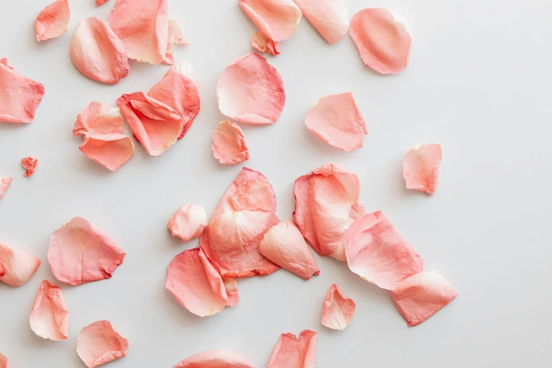 a close up of pink petals on a white surface, trending on pexels, pale red, snacks, dry skin, decorative roses