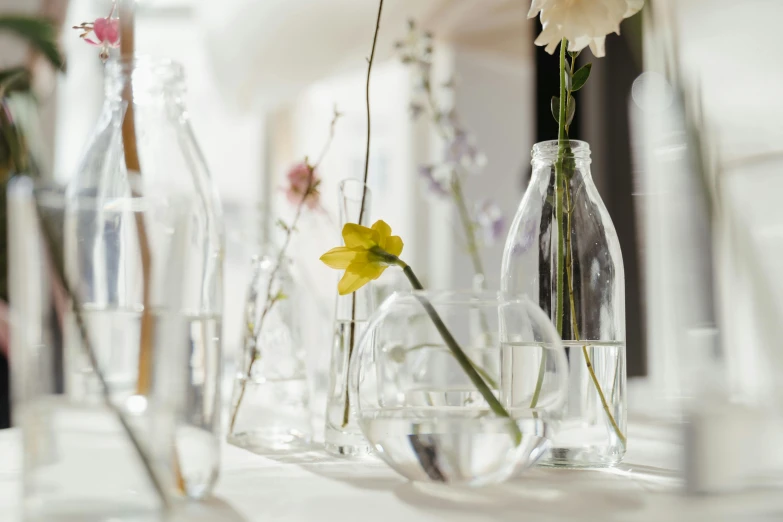 a number of vases with flowers in them on a table, inspired by Constantin Hansen, unsplash, close up shot from the side, scientific glassware, white tablecloth, fully visible