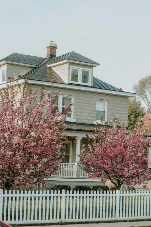 a red car is parked in front of a house, by Jacob Burck, pexels contest winner, renaissance, lush sakura trees, craigville, panoramic shot, profile image