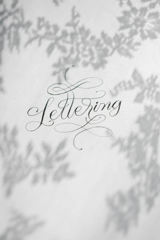 a close up of a sheet of paper with writing on it, an etching, inspired by Zsolt Bodoni, trending on unsplash, letterism, fine foliage lace, ring lighting, silver，ivory, my little everything