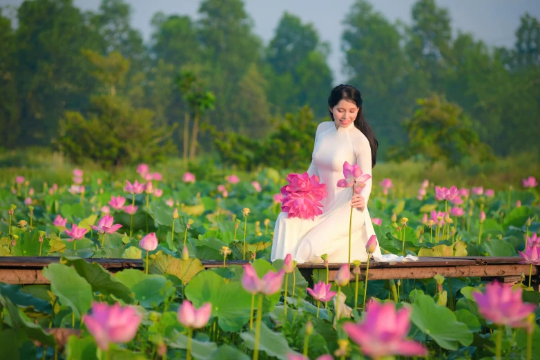 a woman sitting in a field of pink flowers, inspired by Cui Bai, art photography, standing gracefully upon a lotus, phuoc quan, portrait image, slide show