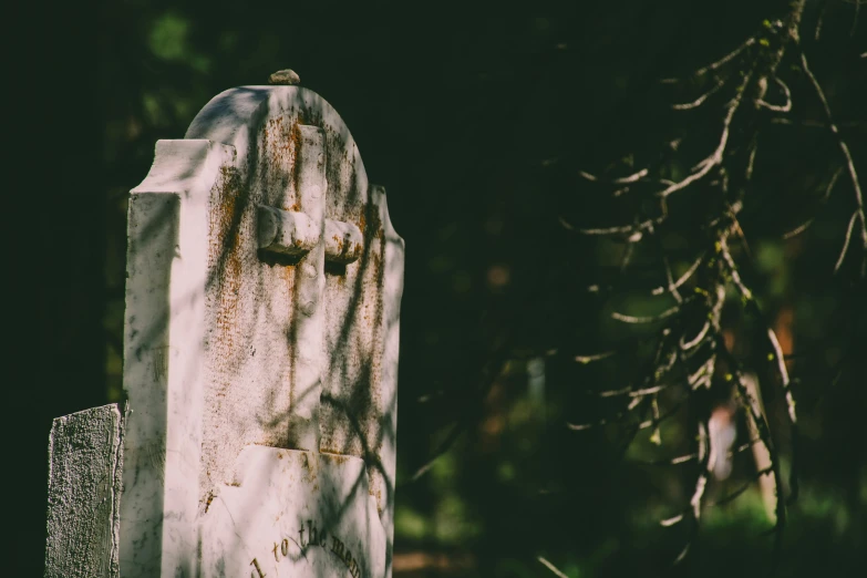a close up of a tombstone with a tree in the background, unsplash, background image, corpses, 2000s photo