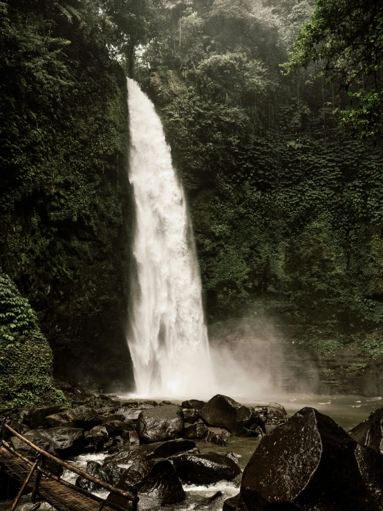 a waterfall in the middle of a lush green forest, a picture, pexels contest winner, sumatraism, intense details, fullbody view, historical photo, high resolution photograph