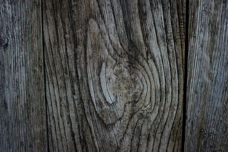 a close up of a piece of wood, unsplash, instagram picture, grey, close-up photo, extremely detailed photo