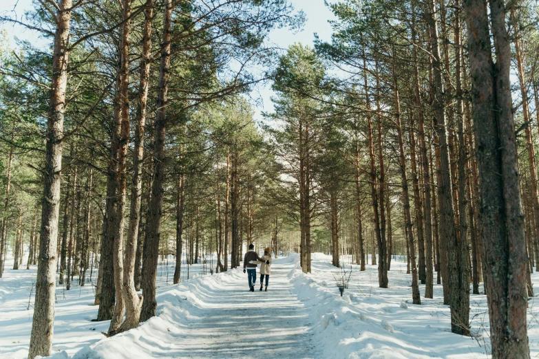 a group of people riding skis down a snow covered slope, by Grytė Pintukaitė, pexels contest winner, hurufiyya, walking through a lush forest, sparse pine forest, magical soviet town, a beautiful pathway in a forest