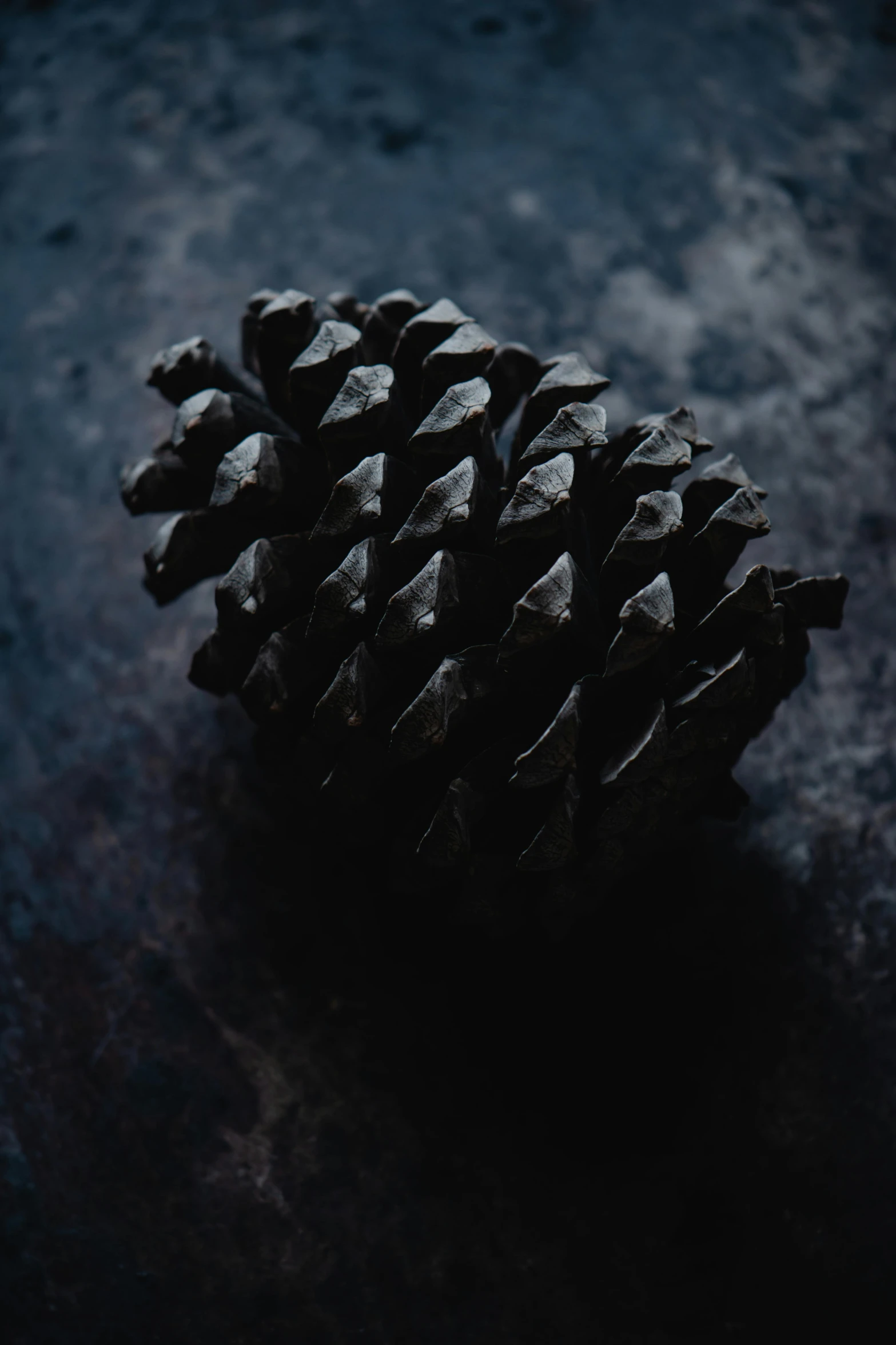 a pine cone sitting on top of a table, by Jesper Knudsen, deep black, multiple stories, high quality image, small