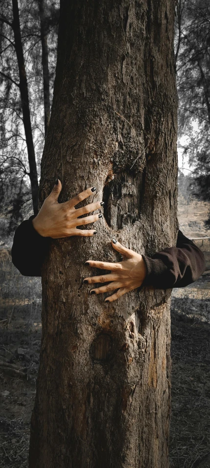 a person hugging a tree with their hands, an album cover, by Jesper Knudsen, trending on pexels, naturalism, bark for skin, brown, 5 feet away, disturbing