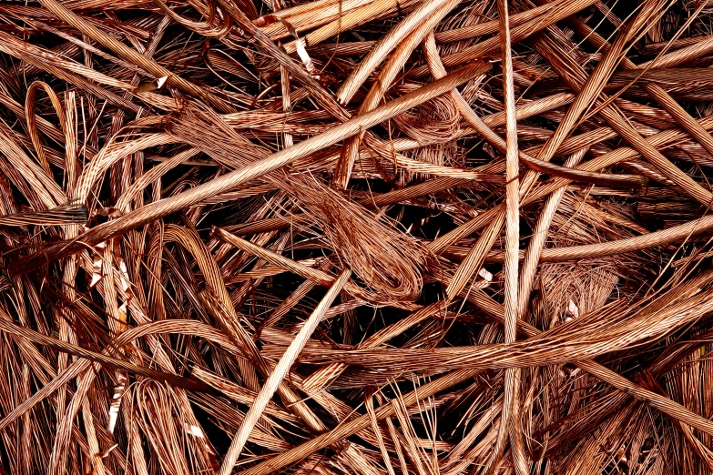 a close up of a pile of copper wire, an album cover, inspired by Patrick Dougherty, pixabay, ffffound, crushed, cane, reddish - brown