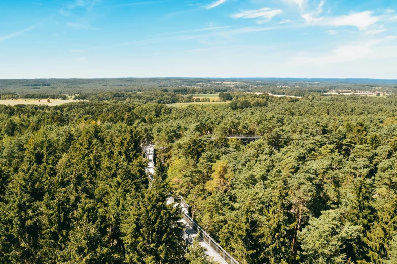 a bridge in the middle of a forest, by Matthias Stom, pexels, sky - high view, panorama distant view, 2000s photo