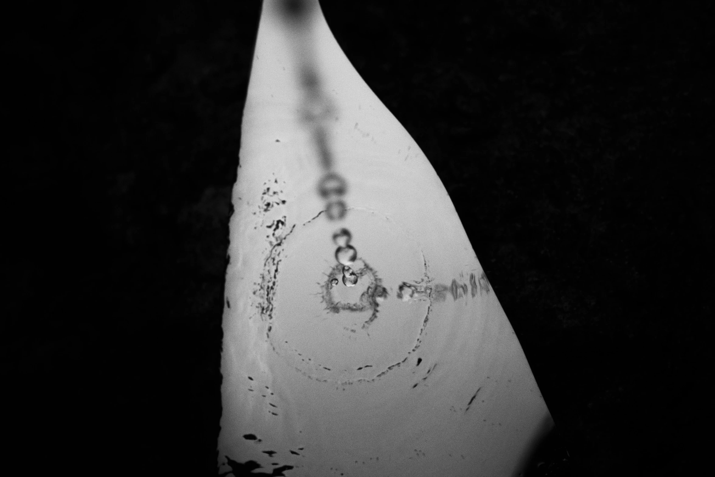 a black and white photo of a person on a surfboard, a tattoo, by Adam Chmielowski, sōsaku hanga, conch shell, deteriorated, microscopy, tooth